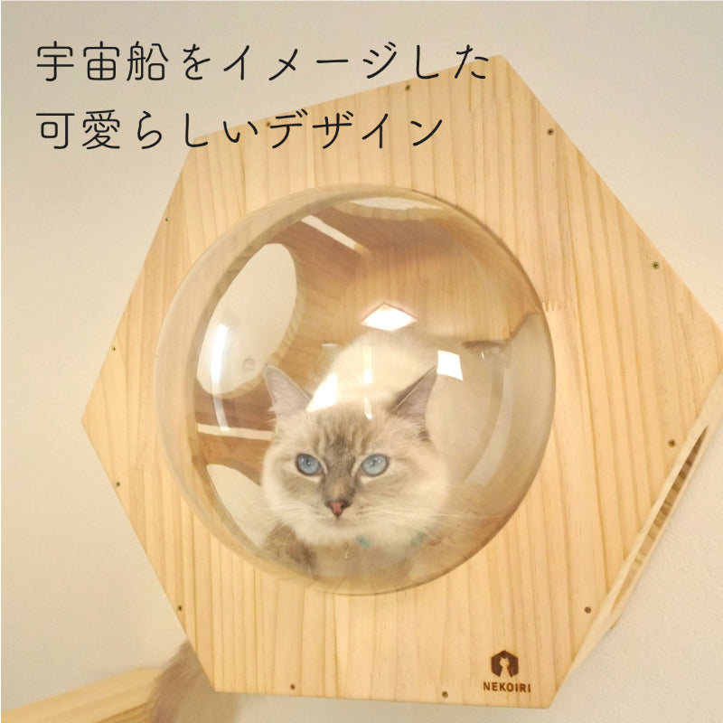 Hexa ヘキサ 【六角ハウス】