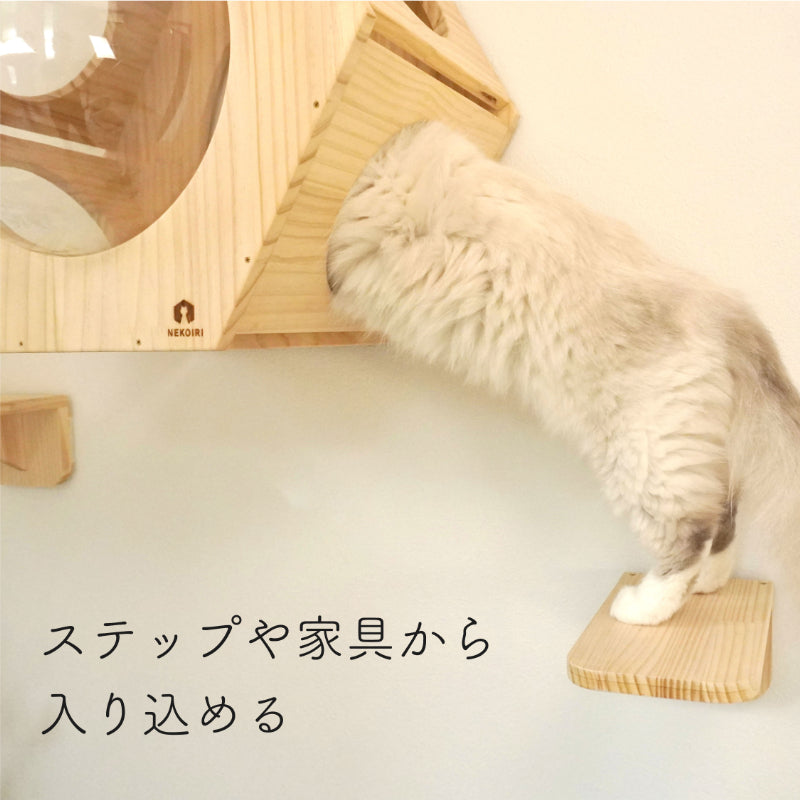 Hexa ヘキサ 【六角ハウス】