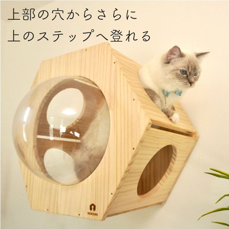 Hexa ヘキサ 【六角ハウス】