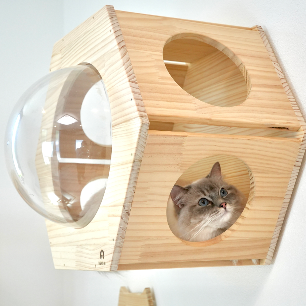 Hexa ヘキサ 【六角ハウス】