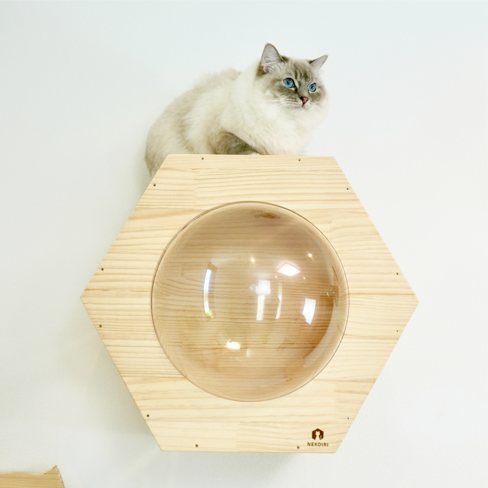 Hexa ヘキサ 【六角ハウス】