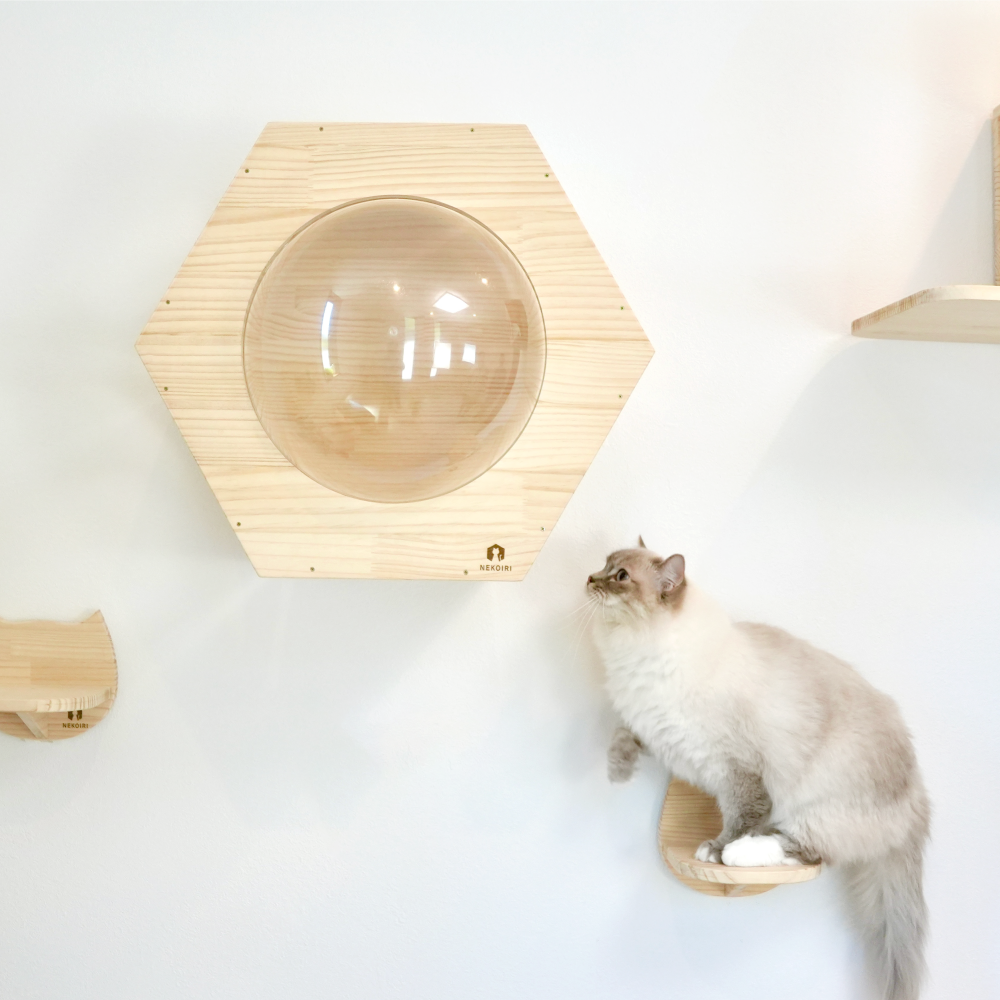 Hexa ヘキサ 【六角ハウス】