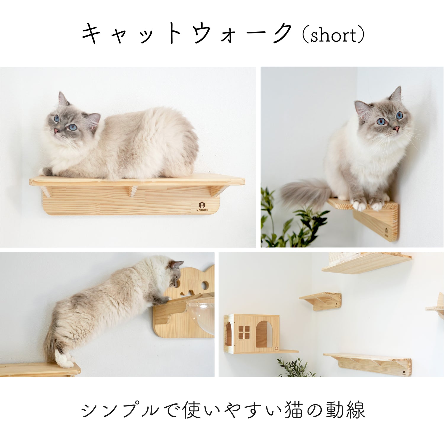 Mache Short マーチェ ショート 【キャットウォーク Sサイズ】