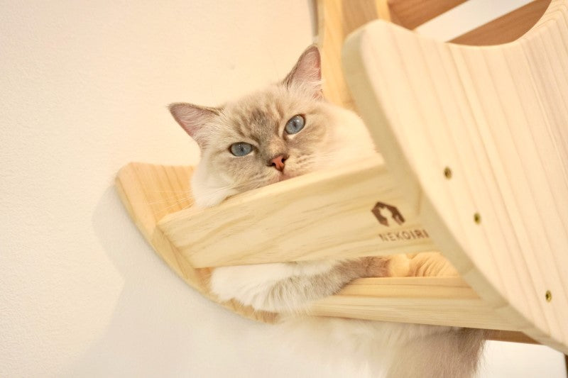 Lune ルーネ 【月型ベッド】