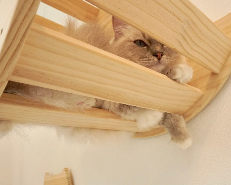 Lune ルーネ 【月型ベッド】