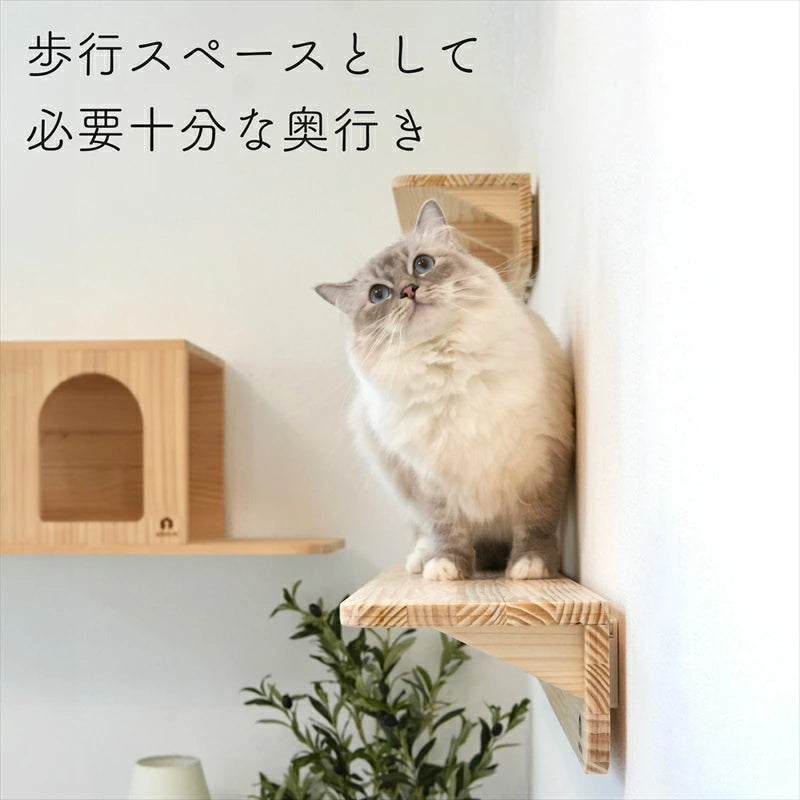 Mache マーチェ 【キャットウォーク】