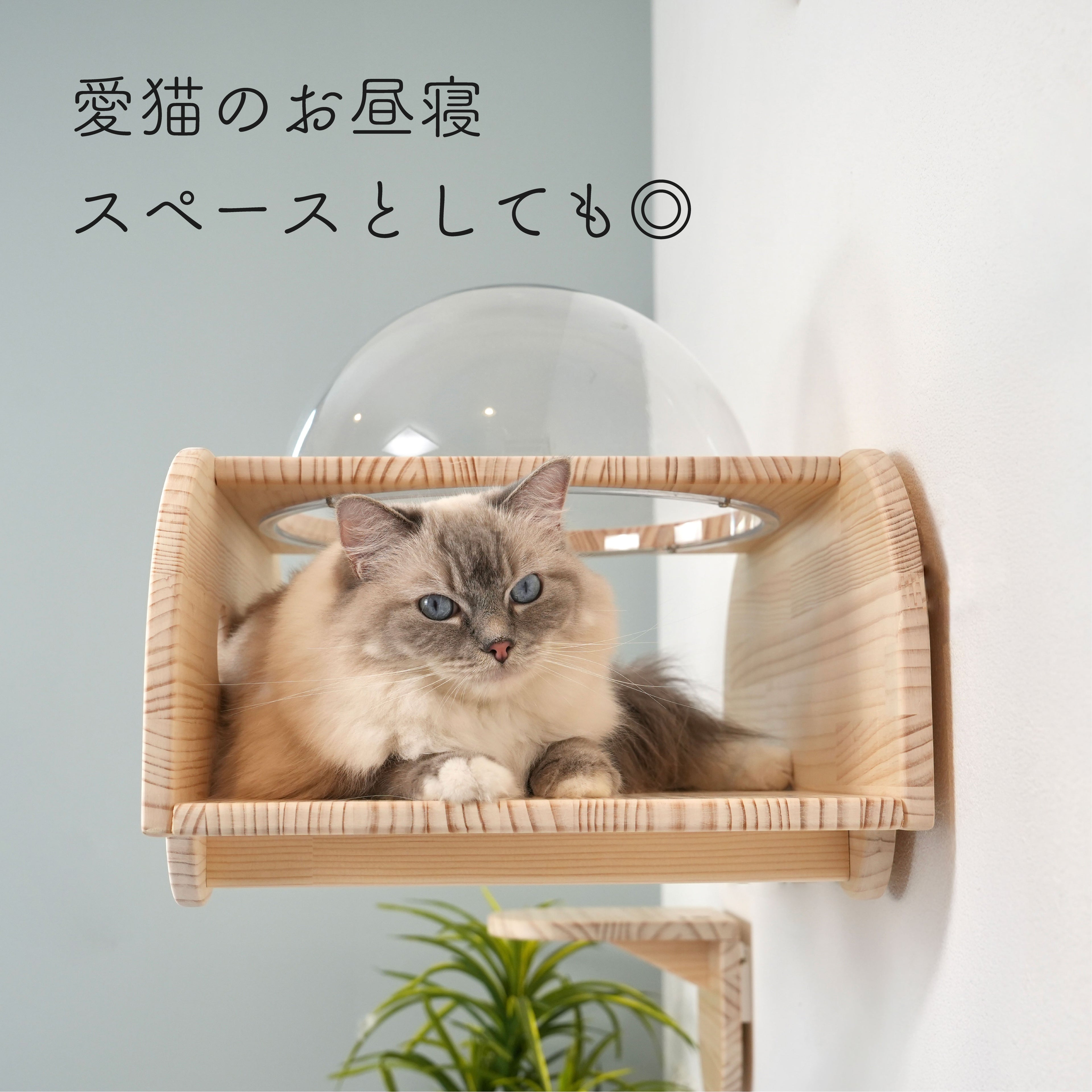 UFO ユーフォ― 【宇宙船】