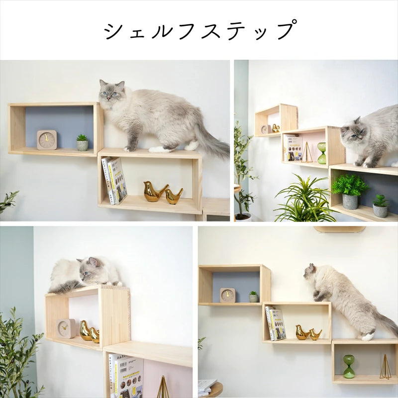 step shelf【ステップ シェルフ】