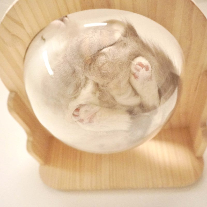 猫の肉球　3つの役割