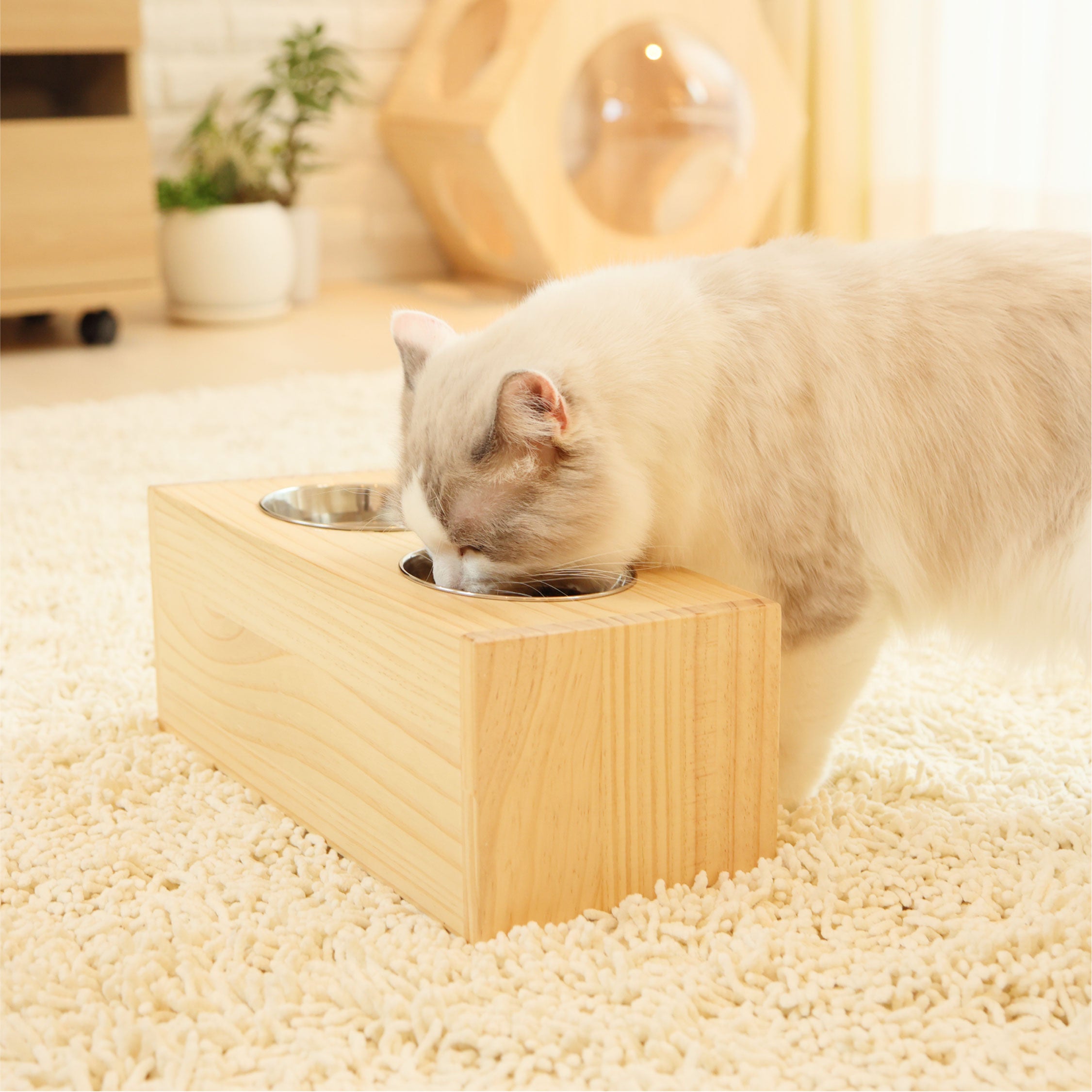 Home page – NEKOIRI