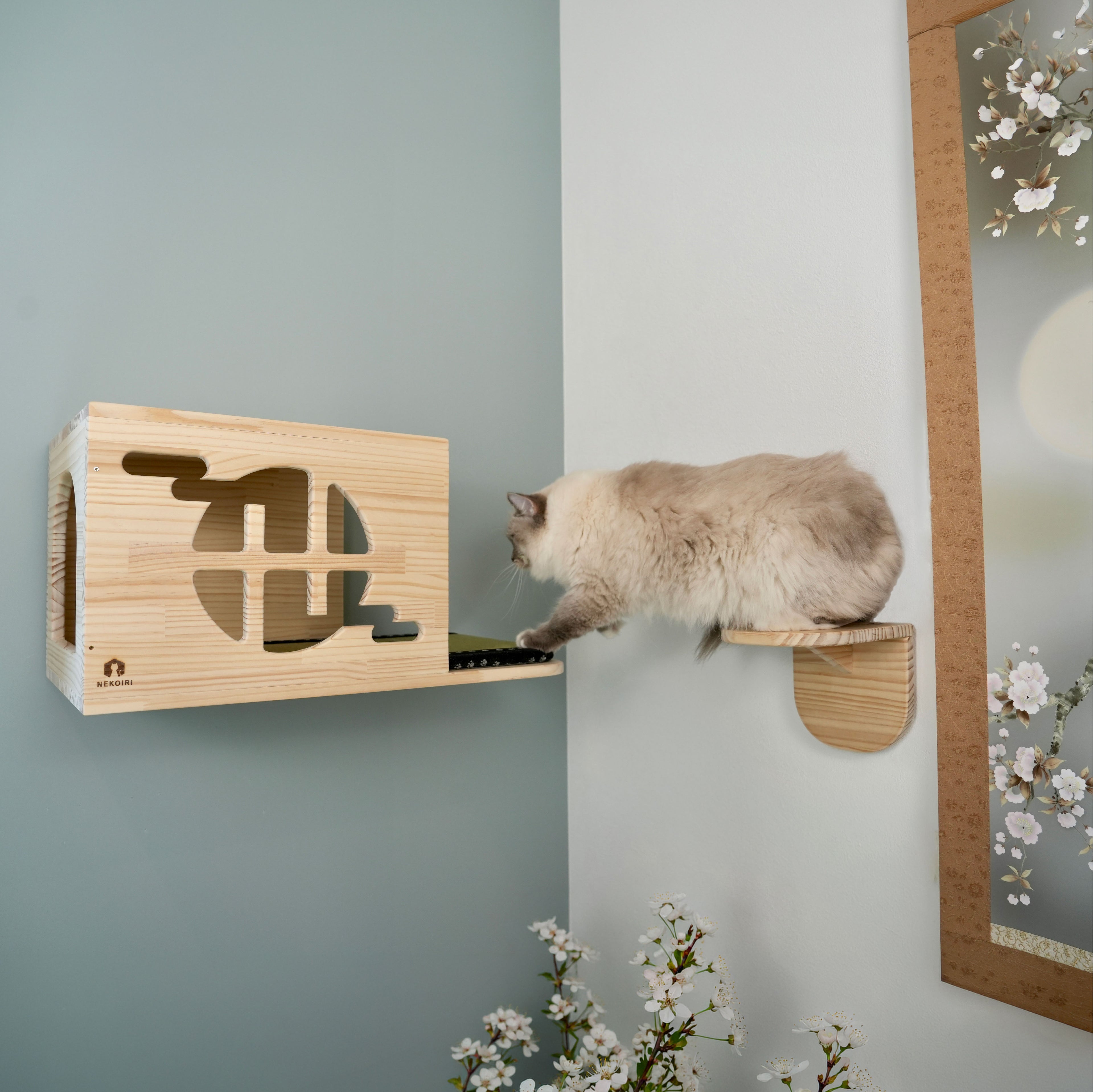 Maja　メージャ　【和風ハウス】