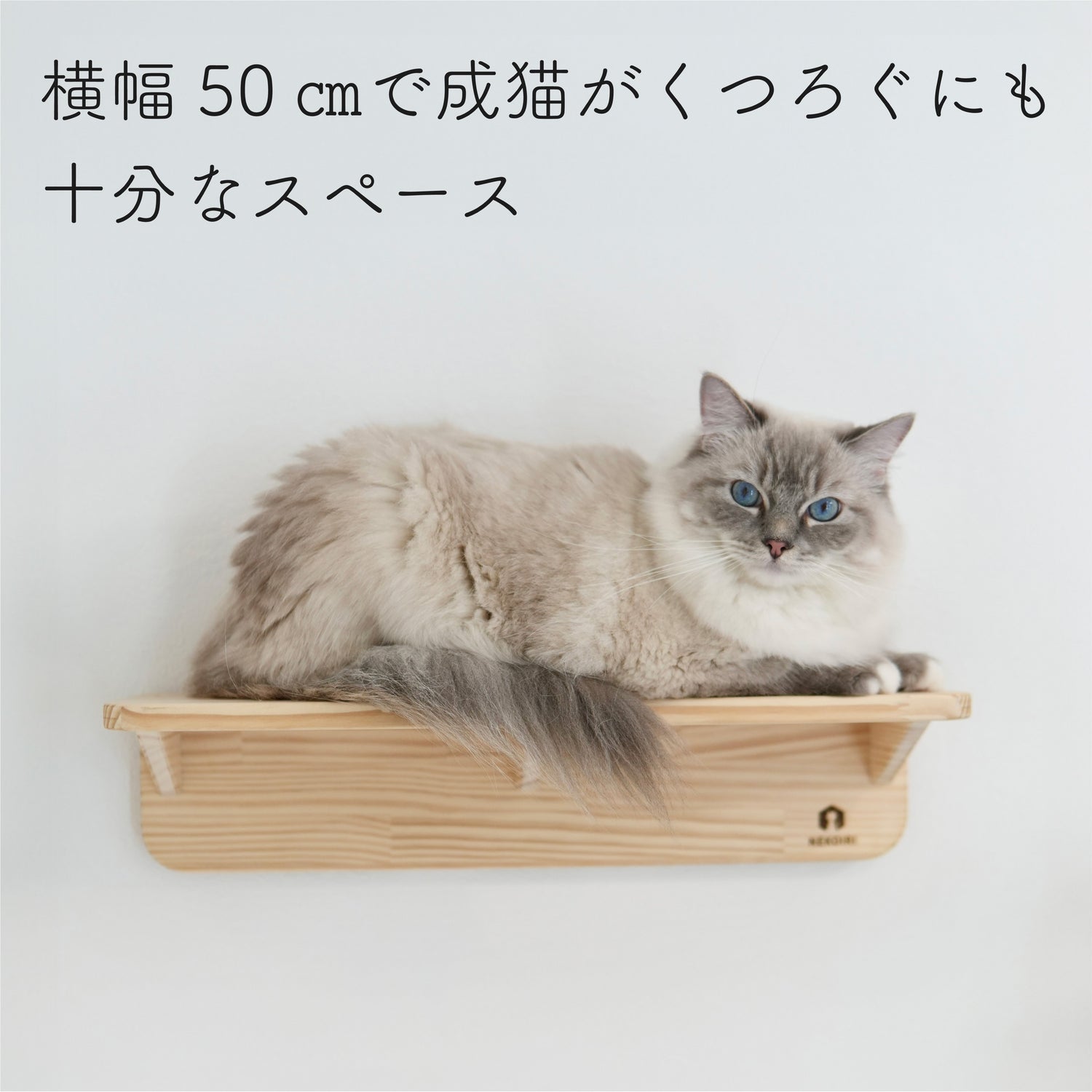 Mache Short　マーチェ ショート　【キャットウォーク　Sサイズ】