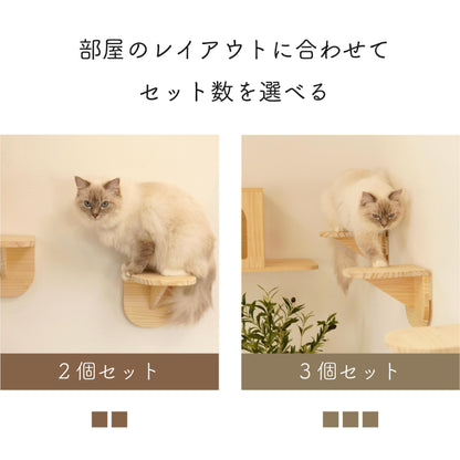 Latre　ラトレ　【ステップ】
