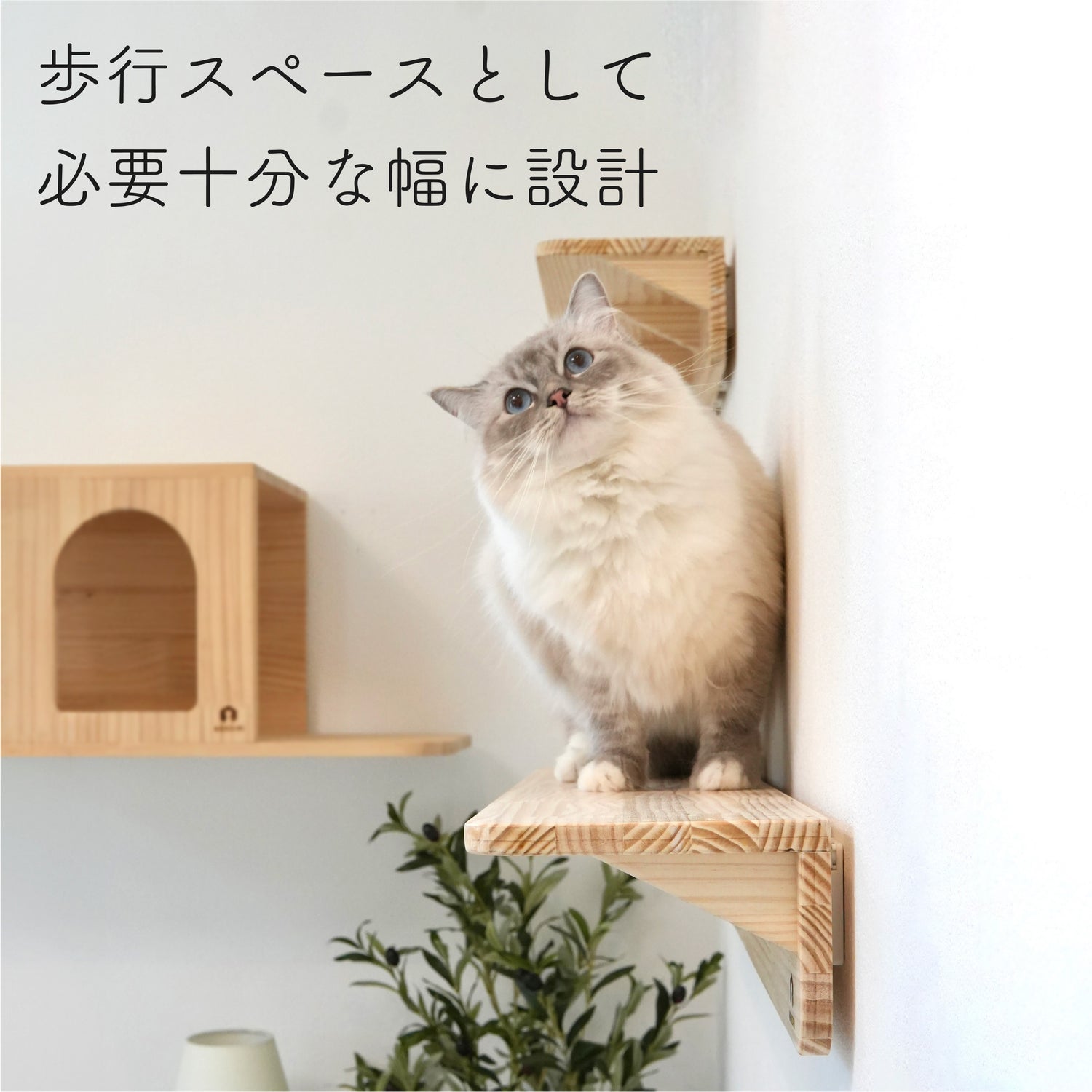 Mache Long　マーチェ ロング　【キャットウォーク　Lサイズ】