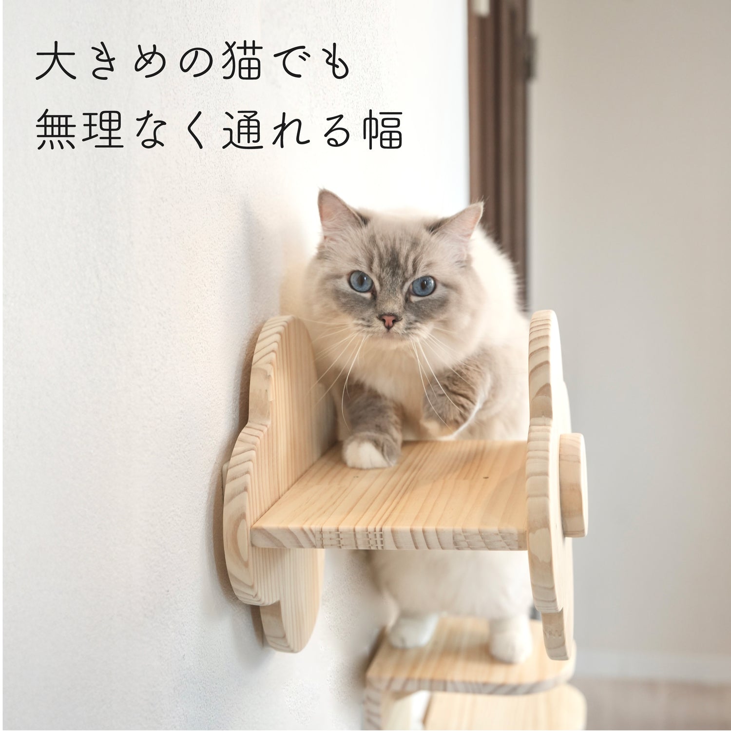 fleur　フルール　【フラワーステップ】