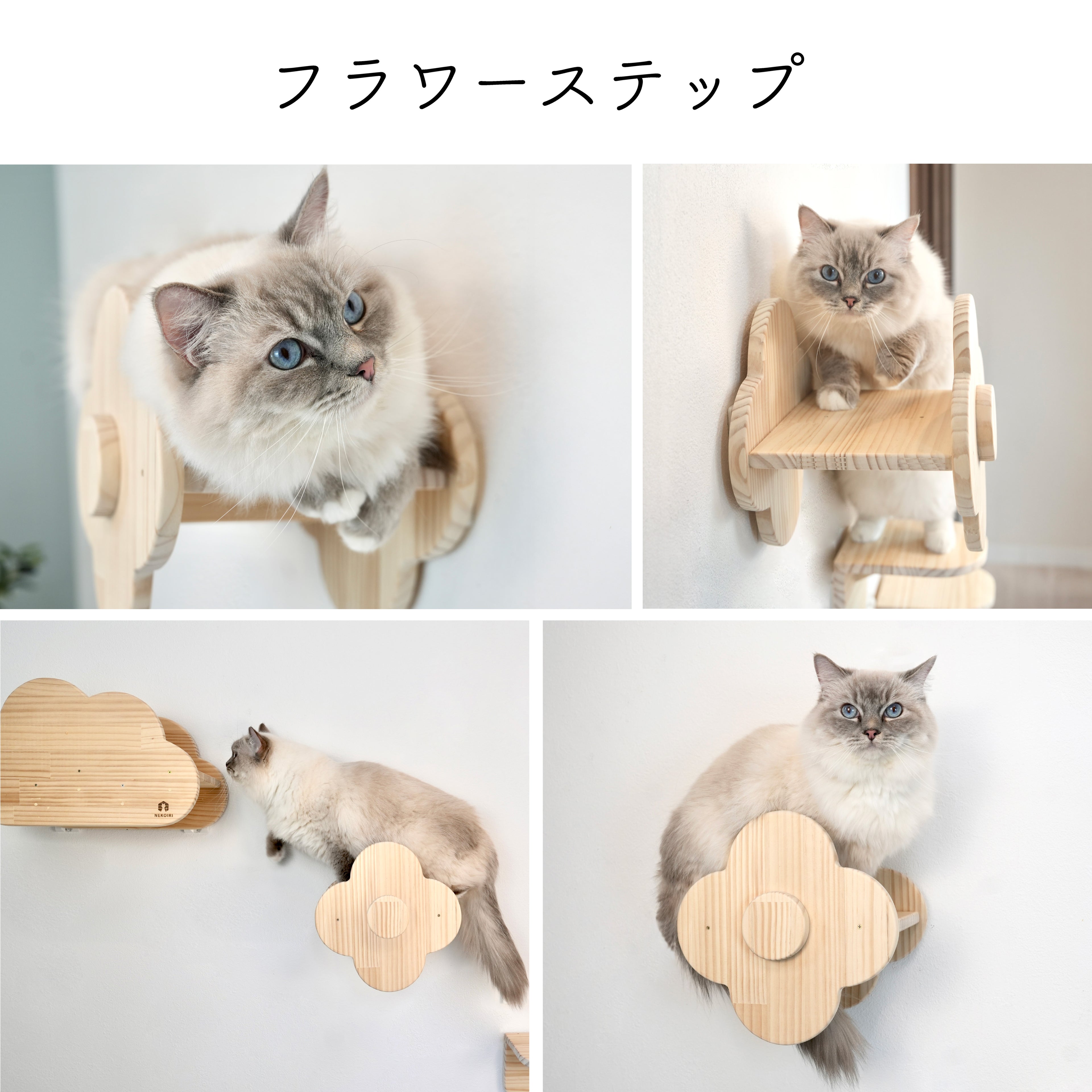 fleur　フルール　【フラワーステップ】