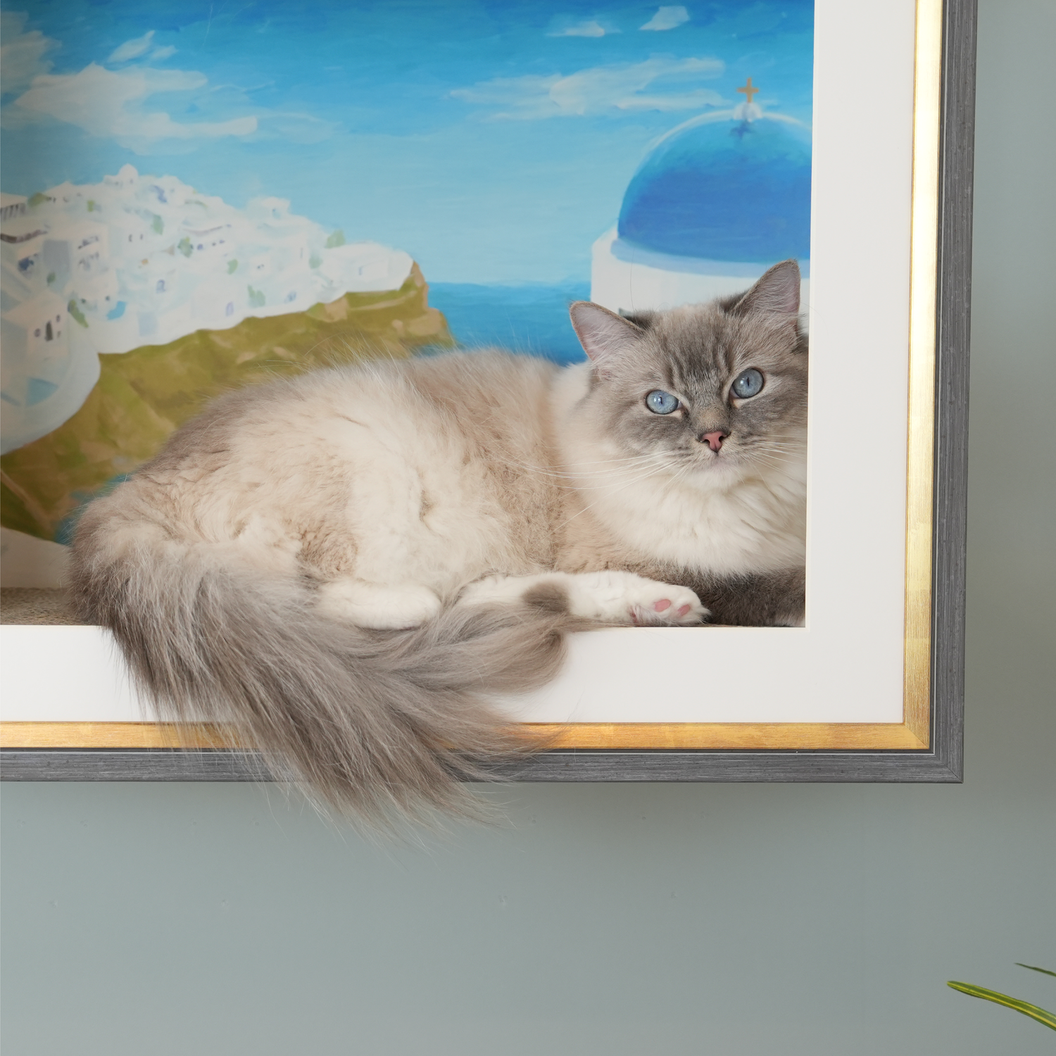 peinture（パンテュール)【絵画】