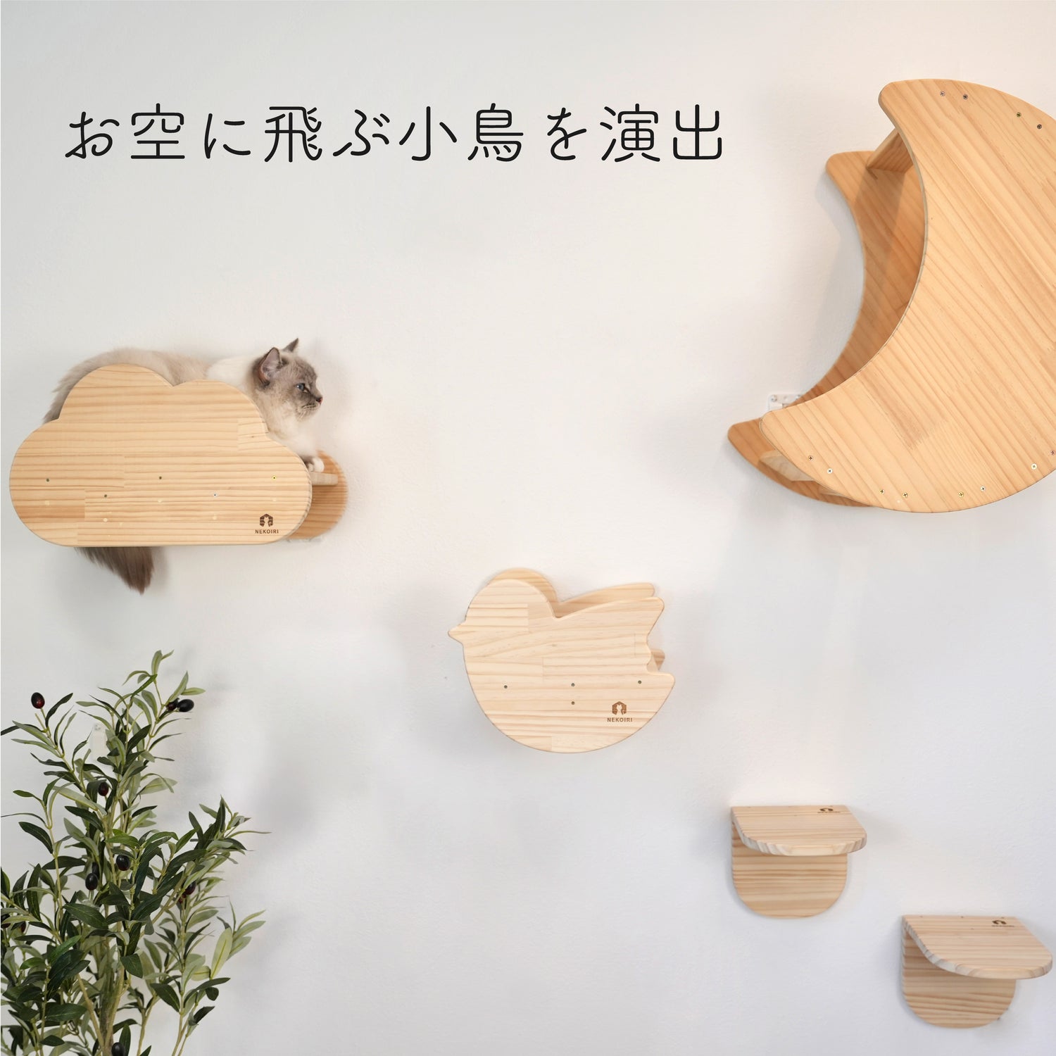 oiselet　オワズレ　【小鳥ステップ】