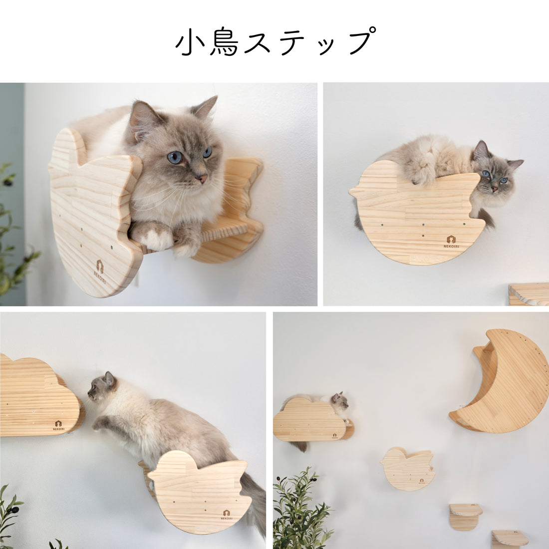 oiselet　オワズレ　【小鳥ステップ】