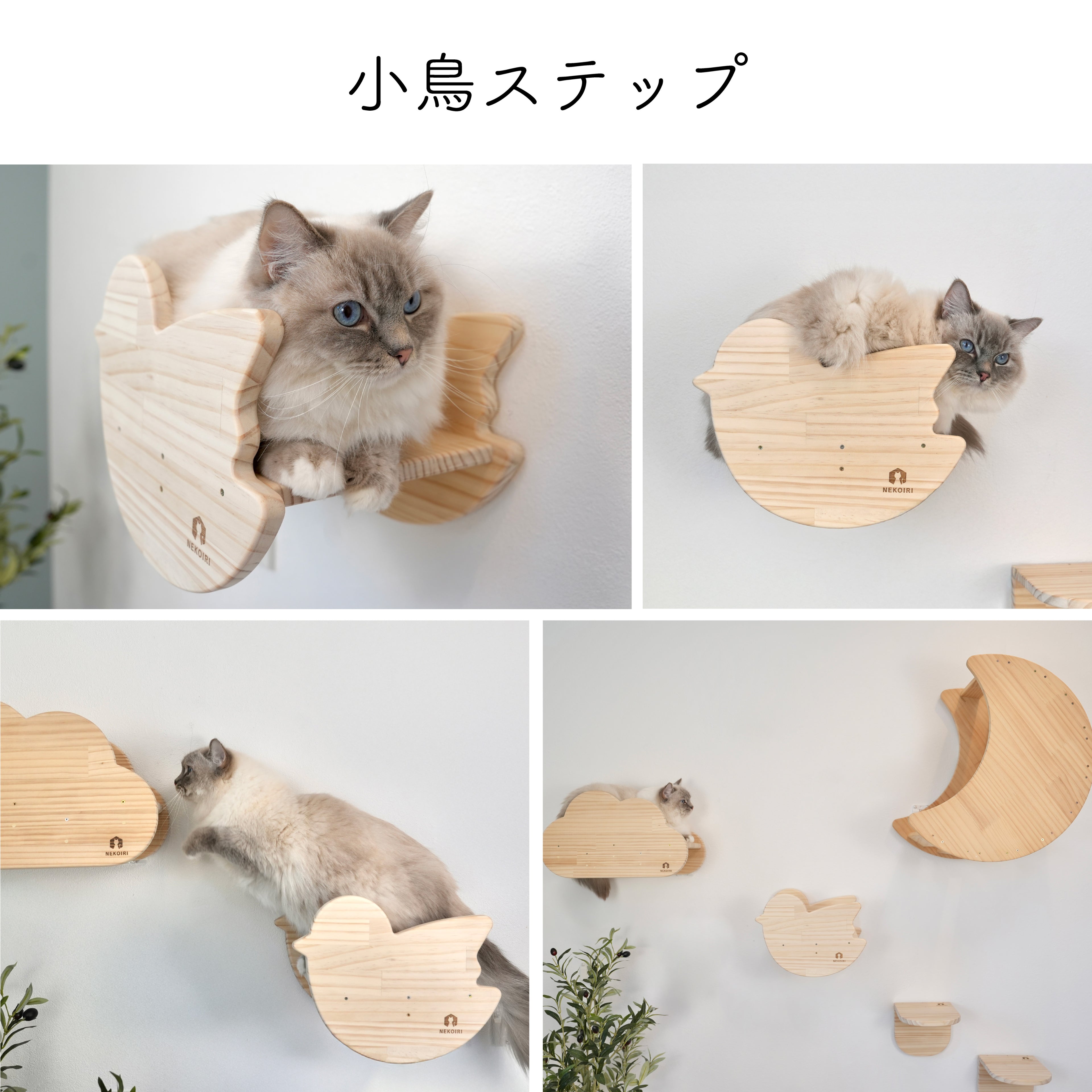oiselet　オワズレ　【小鳥ステップ】