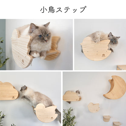 oiselet　オワズレ　【小鳥ステップ】