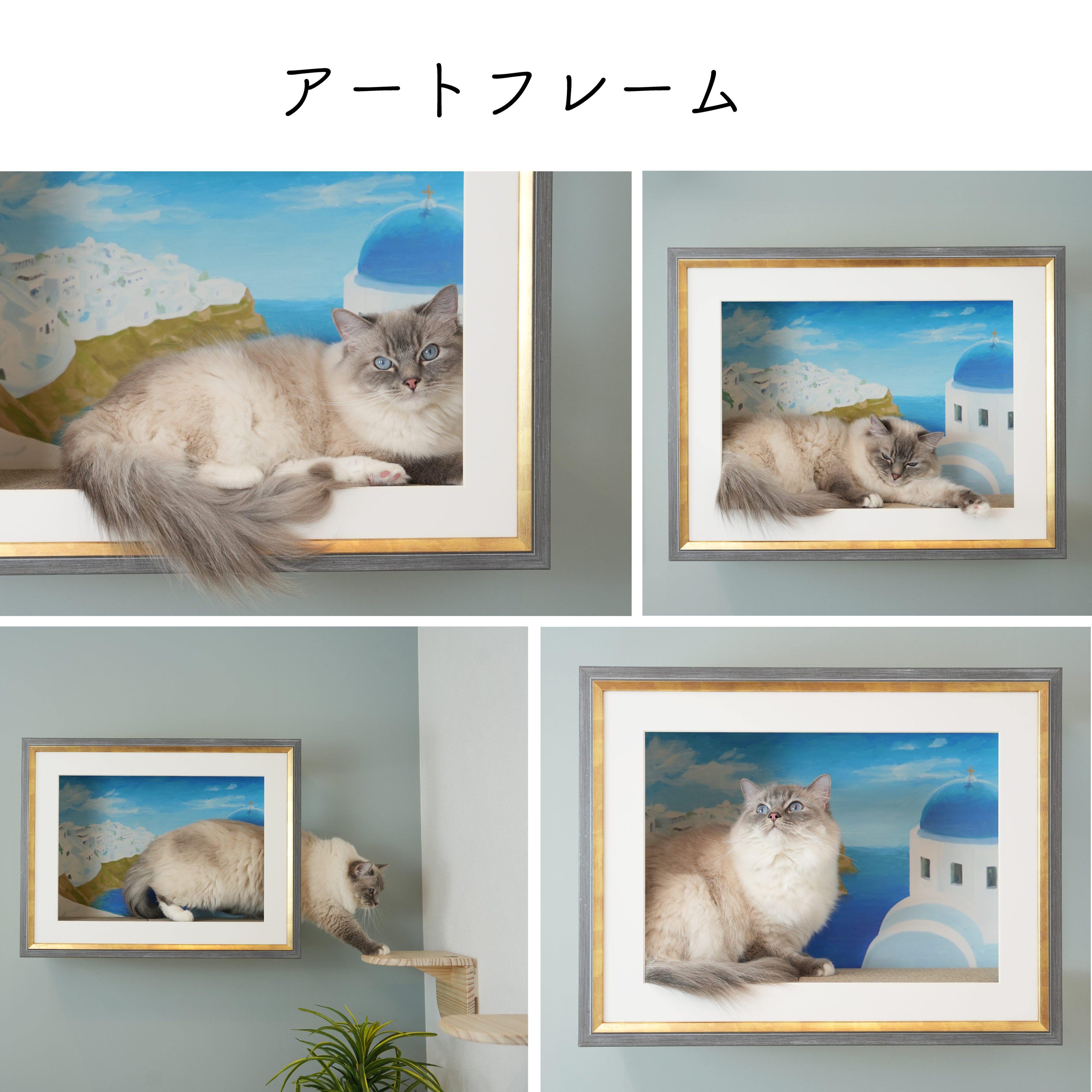 peinture（パンテュール)【絵画】