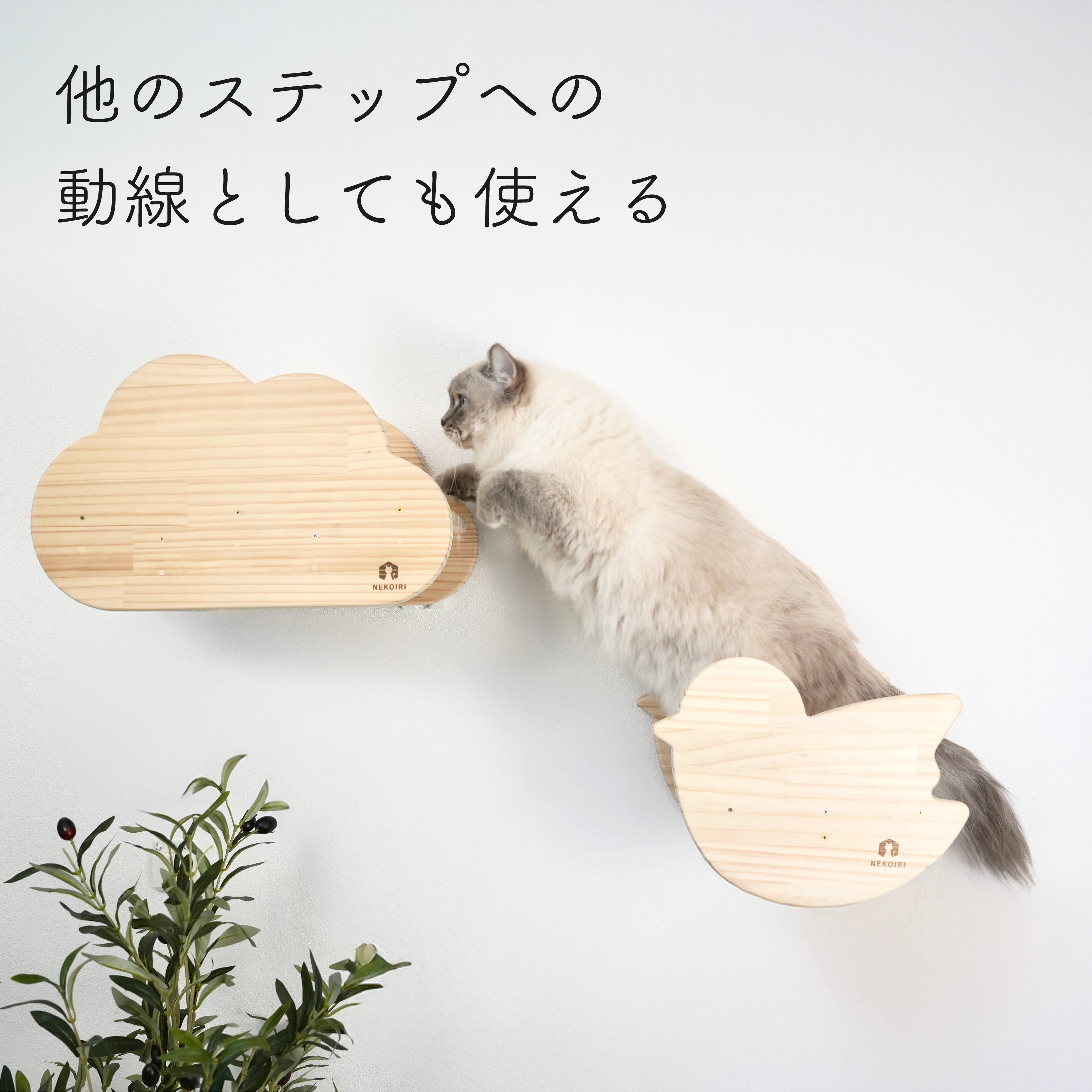 oiselet　オワズレ　【小鳥ステップ】