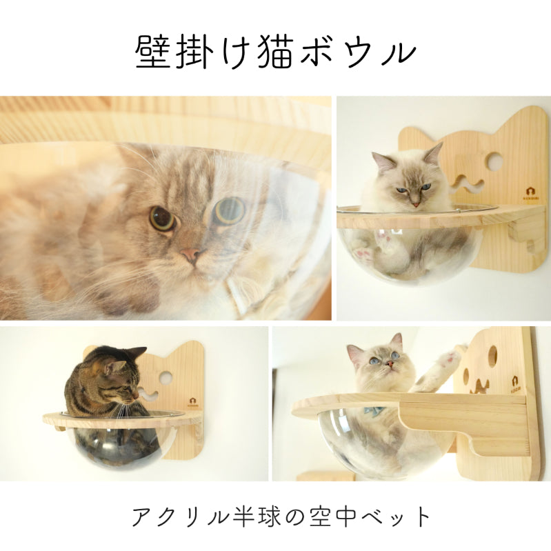 Cabo　カーボ　【猫ボウル】