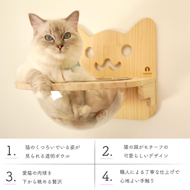 Cabo　カーボ　【猫ボウル】