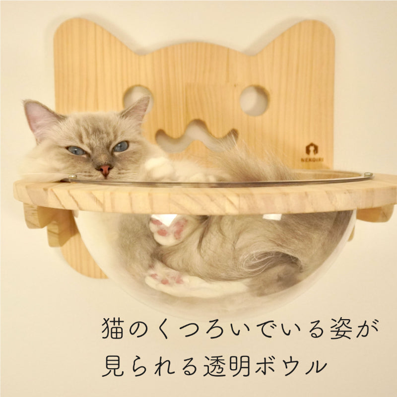 Cabo　カーボ　【猫ボウル】