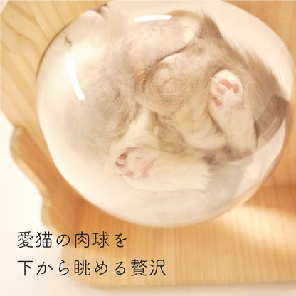 Cabo　カーボ　【猫ボウル】