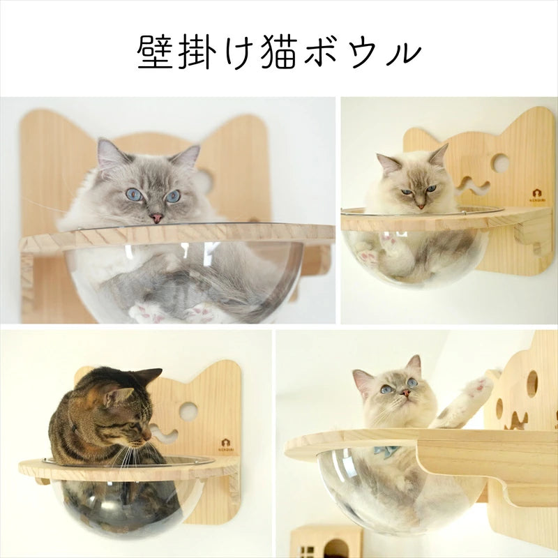 Cabo　カーボ　【猫ボウル】