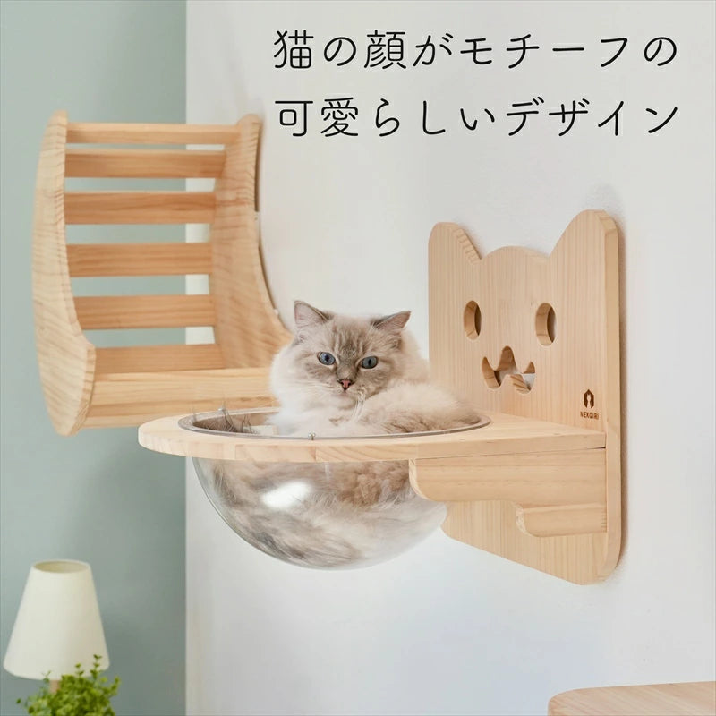 Cabo　カーボ　【猫ボウル】