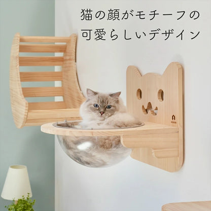 Cabo　カーボ　【猫ボウル】