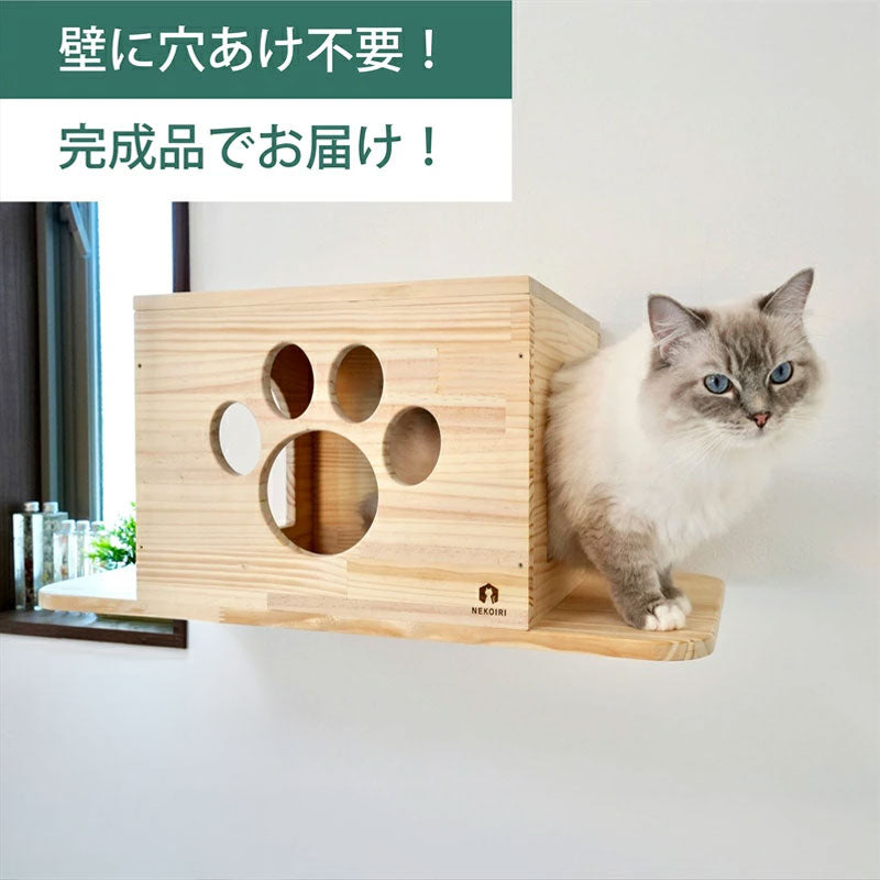 Cade　カーデ　【トンネル】