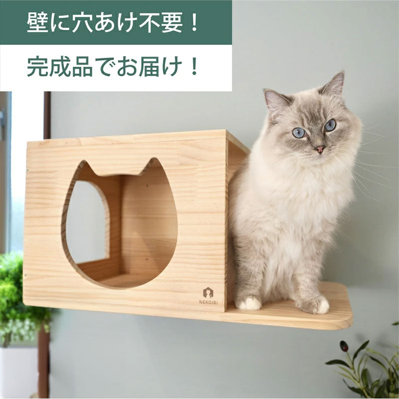Cama　カーマ　【猫顔ハウス】