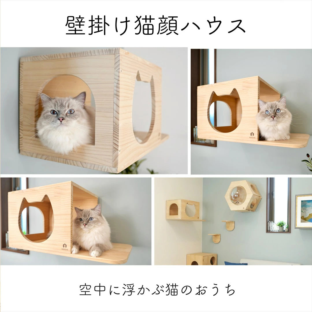 Cama　カーマ　【猫顔ハウス】