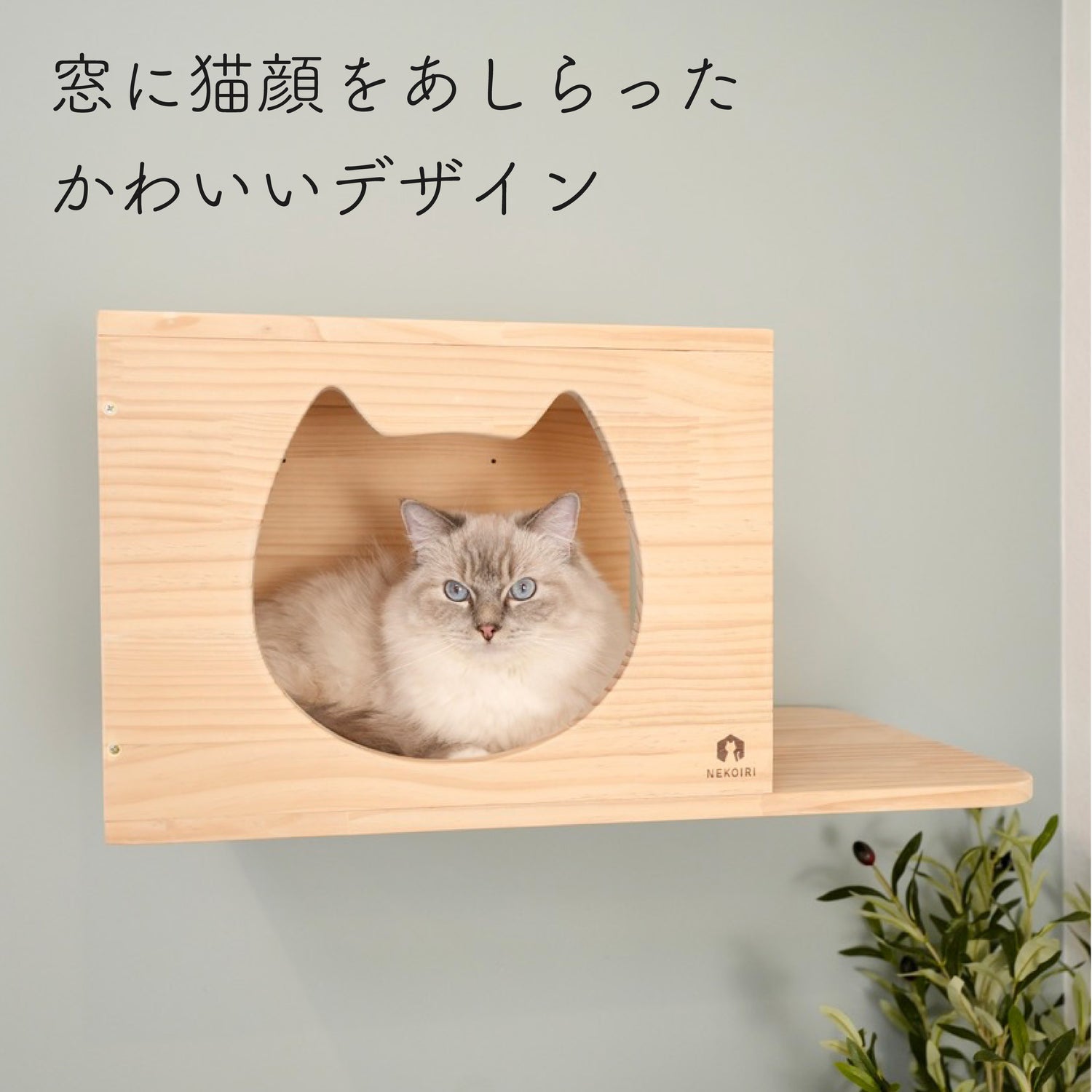Cama　カーマ　【猫顔ハウス】
