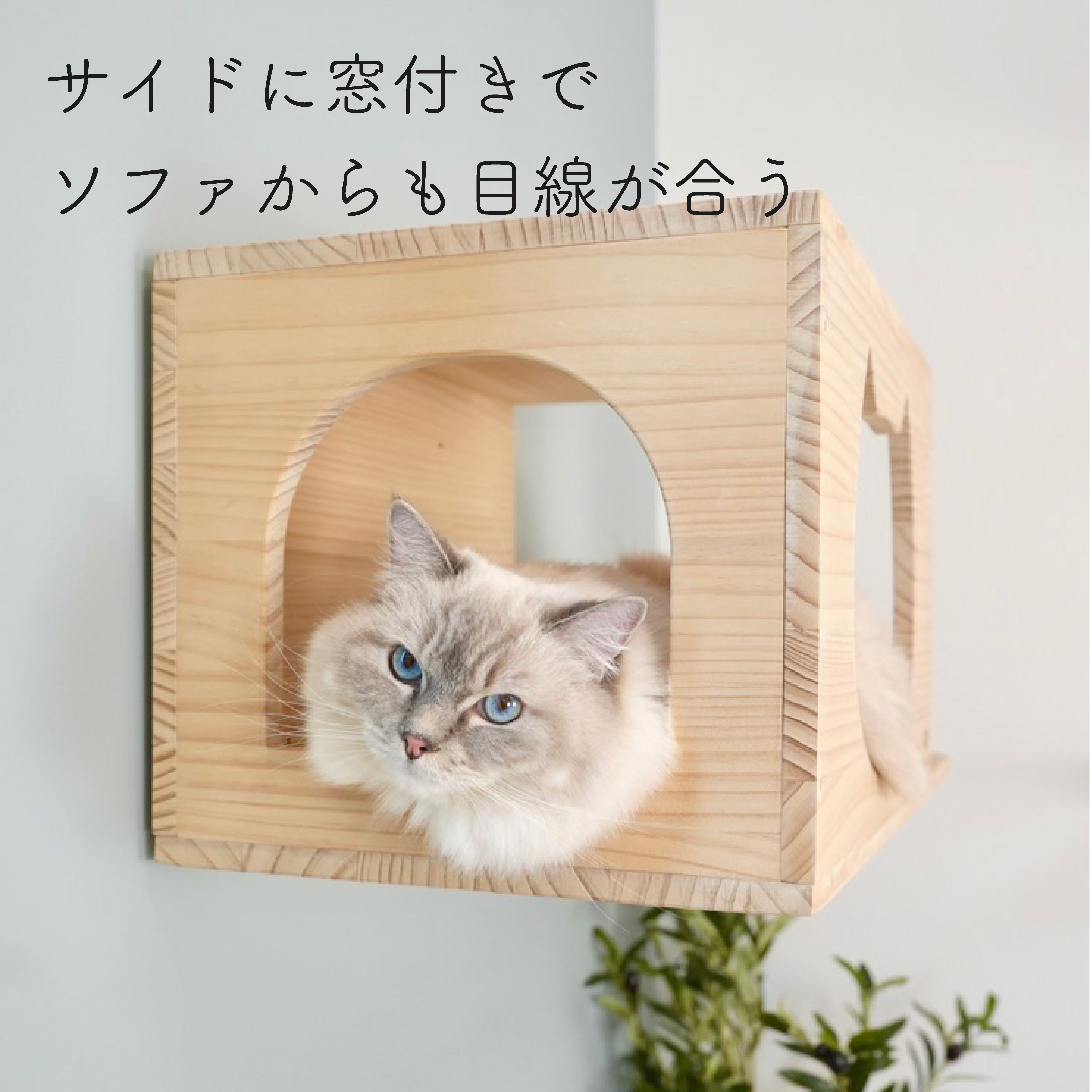 賃貸OK！ 壁掛けキャットハウス Cama(カーマ)｜穴あけ不要の猫家具