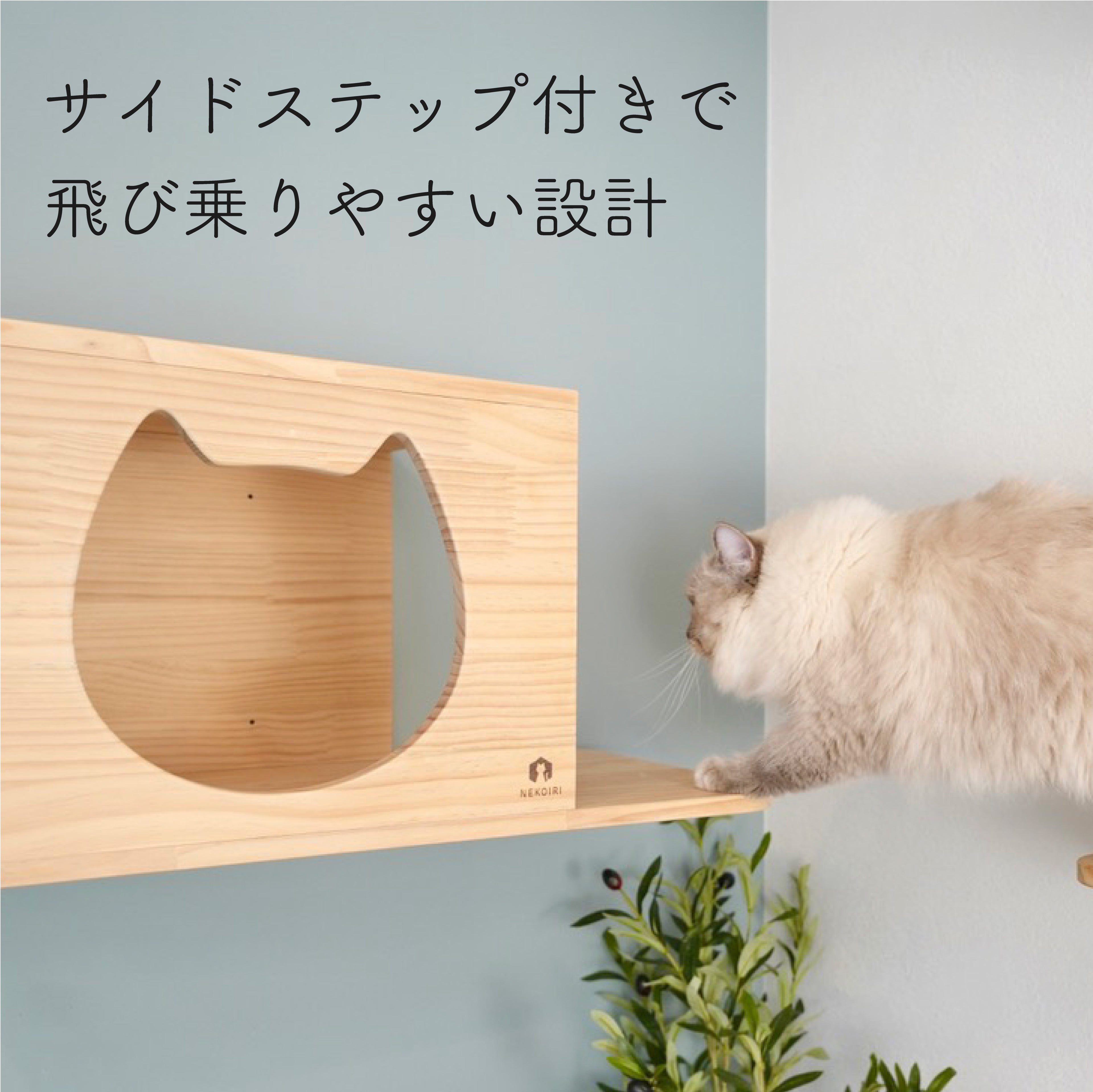 Cama　カーマ　【猫顔ハウス】