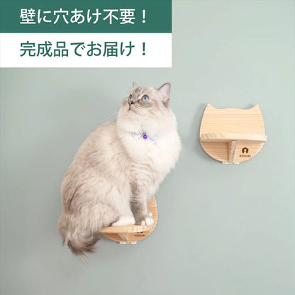 Catre　カトレ　【猫顔ステップ】