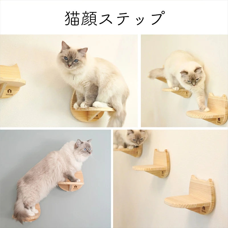 Steps 猫蟹丸 賃貸OK！ 壁掛けキャットステップ Catre(カトレ)｜穴あけ不要の猫家具