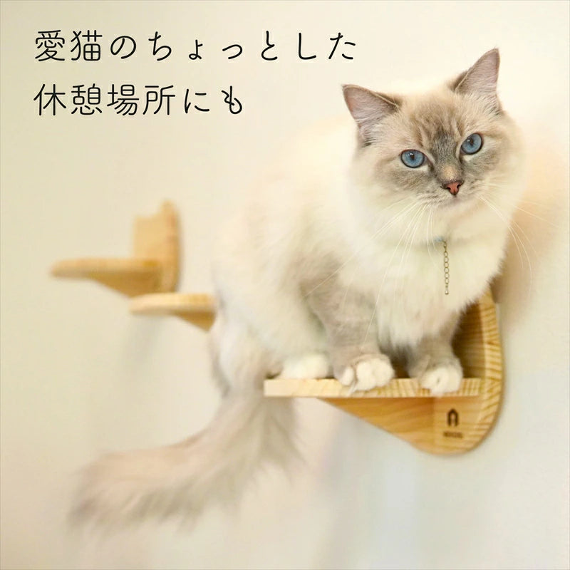 賃貸OK！ 壁掛けキャットステップ Catre(カトレ)｜穴あけ不要の猫家具