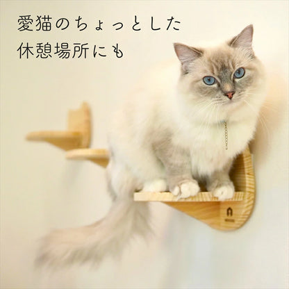 Catre　カトレ　【猫顔ステップ】