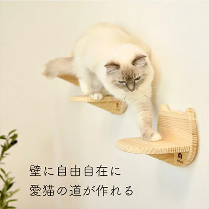 Catre　カトレ　【猫顔ステップ】