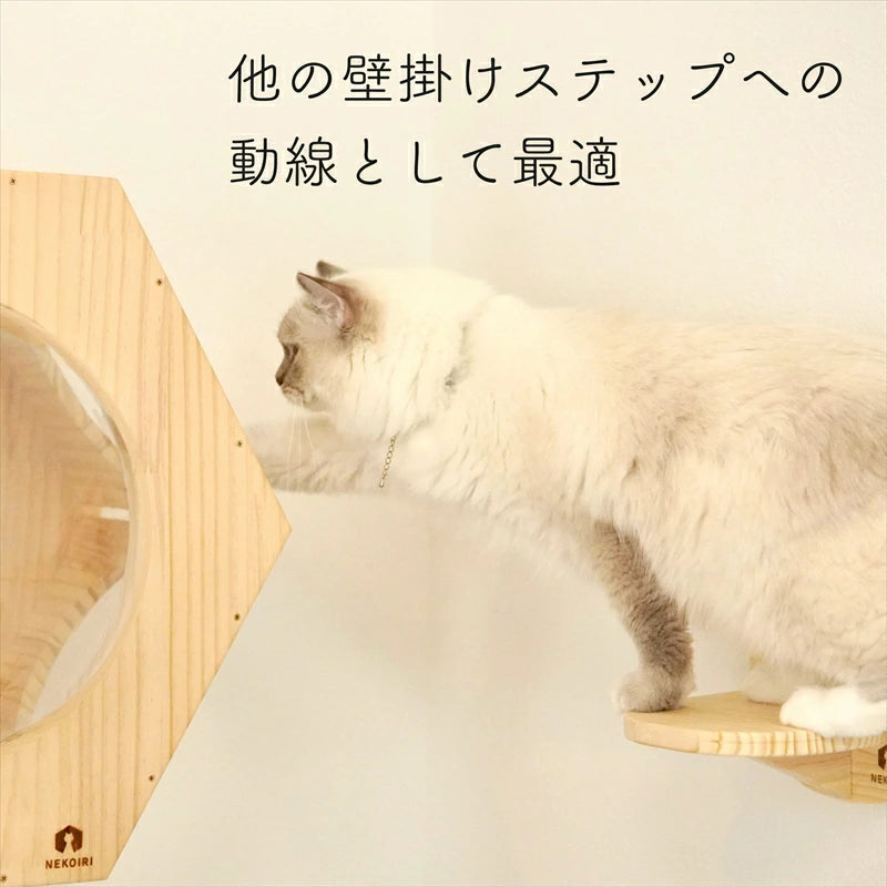 Steps 猫蟹丸 Amazon | 橘猫工業 水産箱 シリーズ 招潮 カニ フィギュア プラモデル