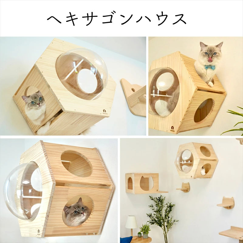 Hexa　ヘキサ　【六角ハウス】