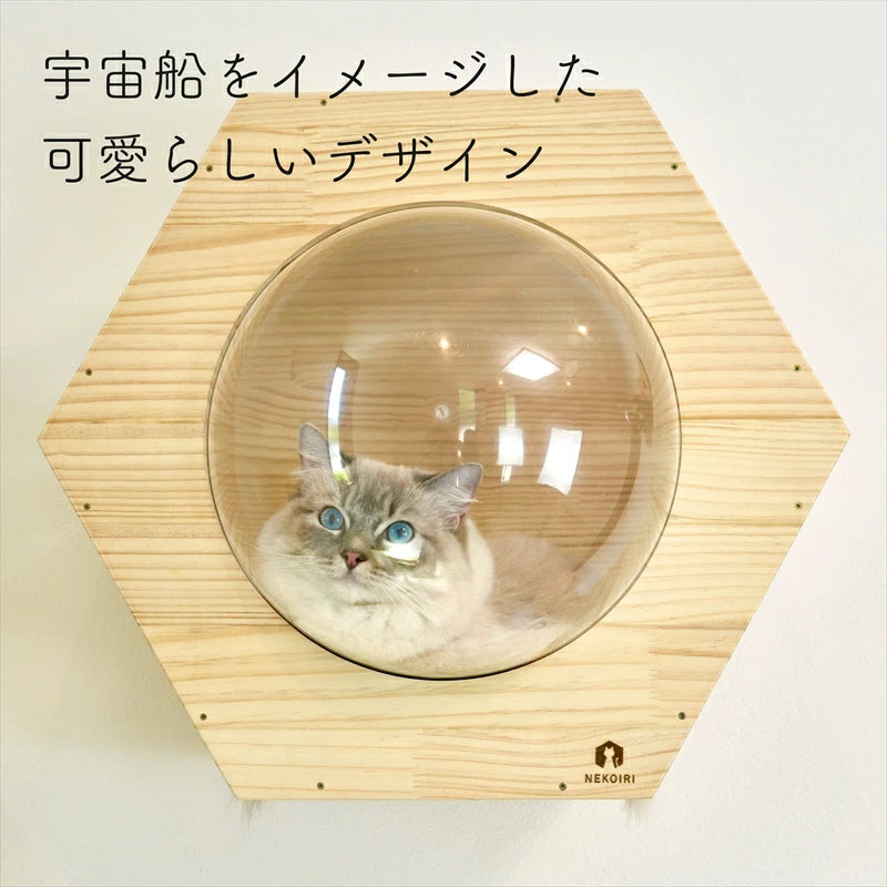 Hexa　ヘキサ　【六角ハウス】