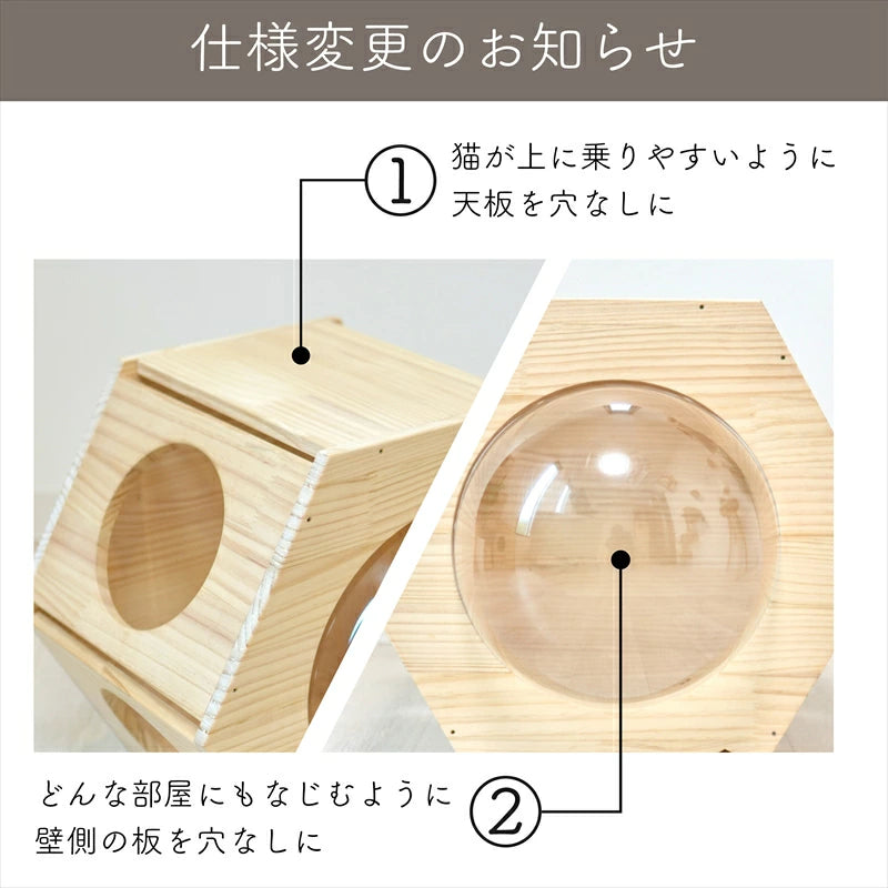 Hexa　ヘキサ　【六角ハウス】