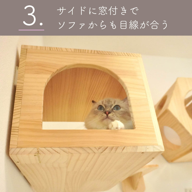 Lama　ラーマ　【猫ハウス】